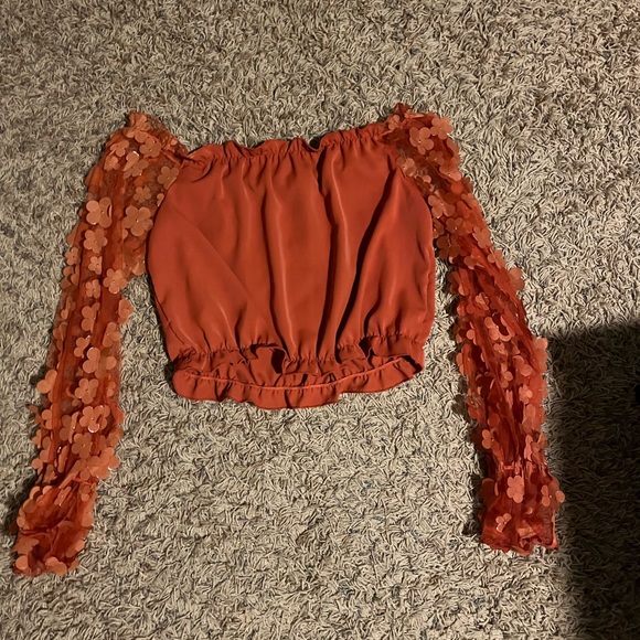 SHEIN Tops - NEW cropped mesh sleeve top with flowers